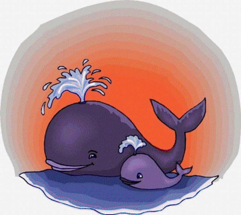 23 июля - Всемирный день китов и дельфинов. 