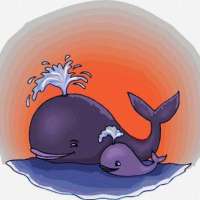 23 июля - Всемирный день китов и дельфинов. 