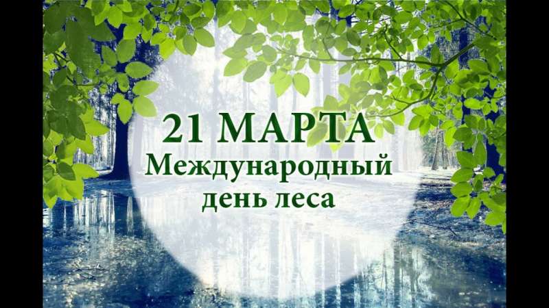 Международный день лесов.